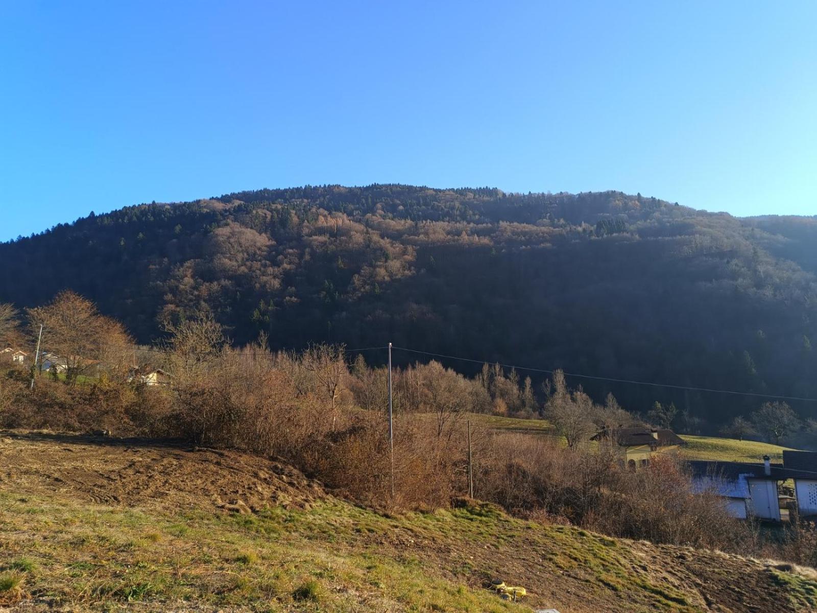 Agriturismo Fattoria Ortoalpino Trichiana Ngoại thất bức ảnh