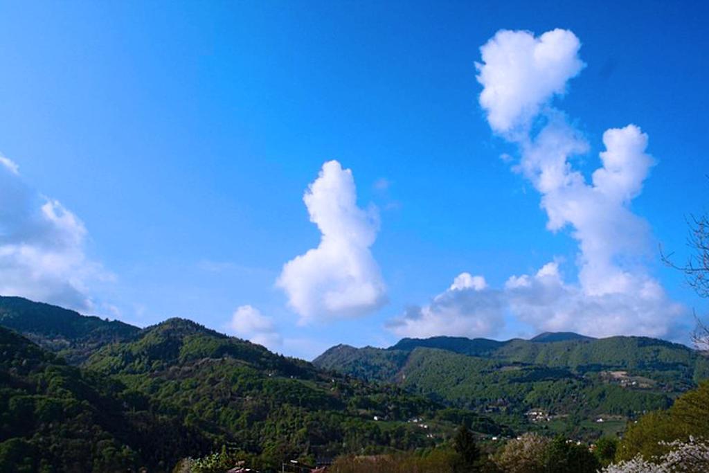 Agriturismo Fattoria Ortoalpino Trichiana Ngoại thất bức ảnh