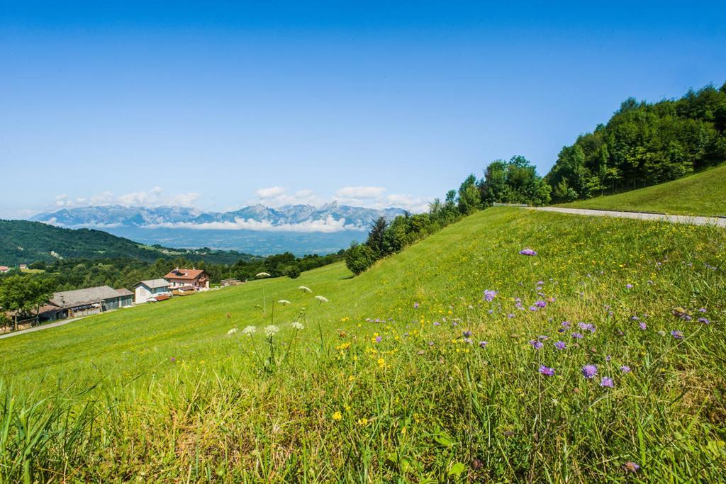 Agriturismo Fattoria Ortoalpino Trichiana Ngoại thất bức ảnh