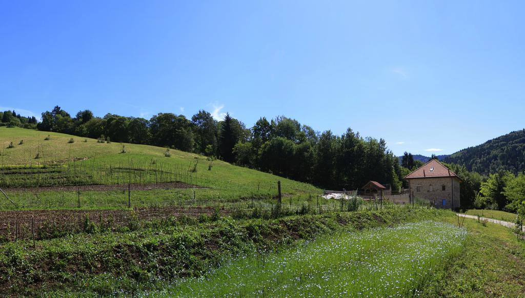 Agriturismo Fattoria Ortoalpino Trichiana Ngoại thất bức ảnh
